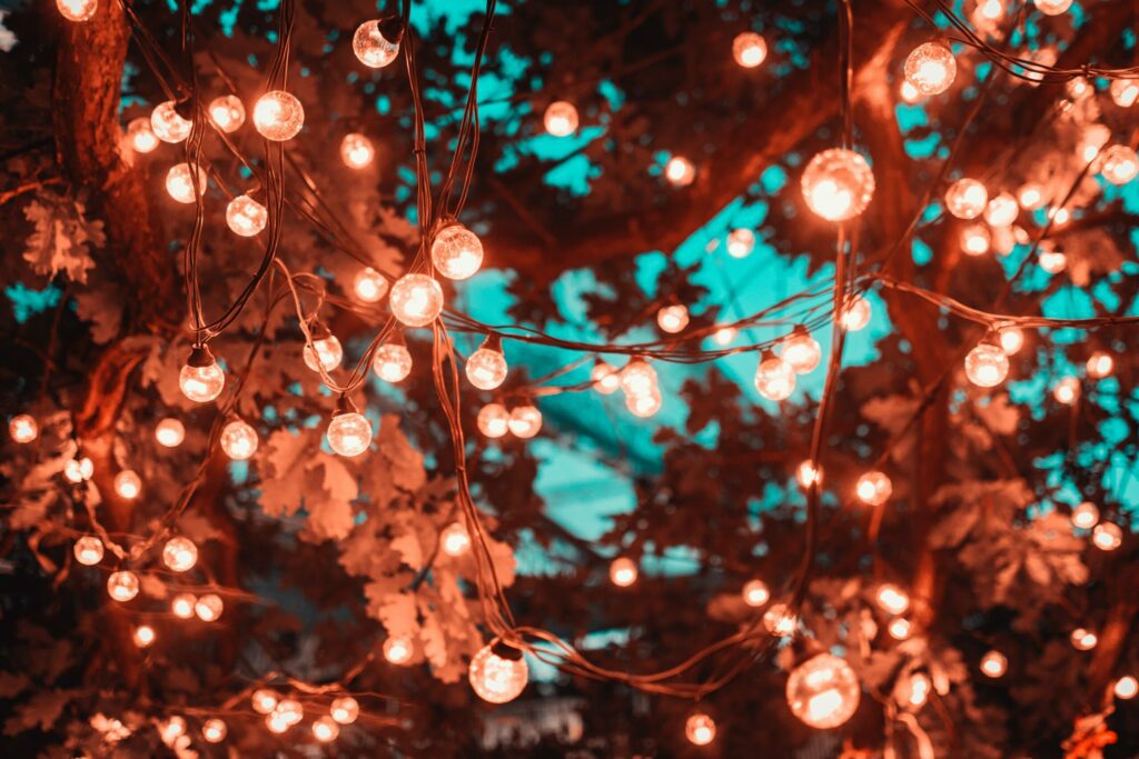 Tree Leaves Lit Up By Lights At Night
